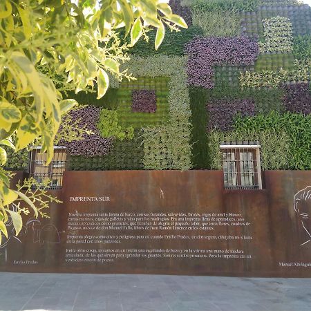 Acogedor Y Moderno Estudio En Capuchinos Μάλαγα Εξωτερικό φωτογραφία