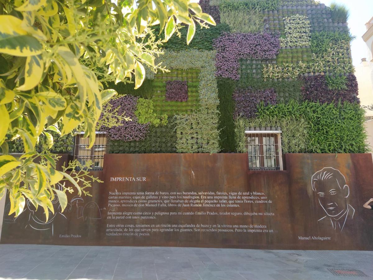 Acogedor Y Moderno Estudio En Capuchinos Μάλαγα Εξωτερικό φωτογραφία